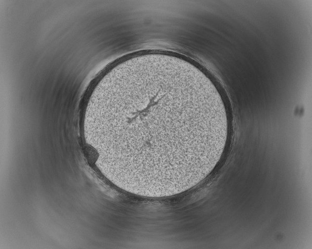 X0000110870931200907161435