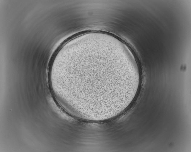 X0000110870932200907161435