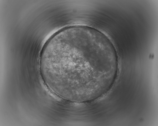 X0000110870933200907161435