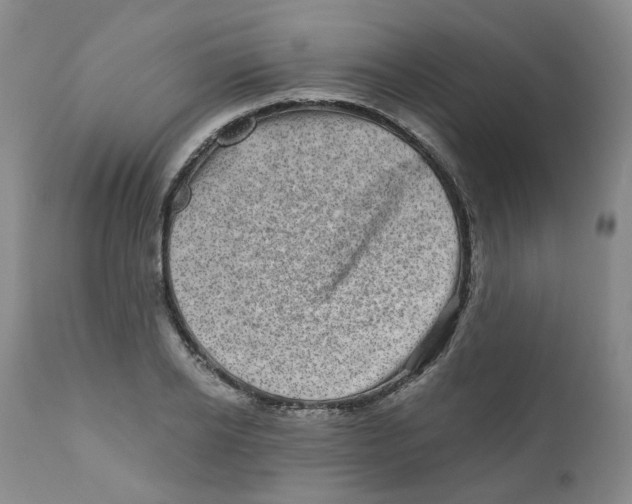 X0000110870934200907161435