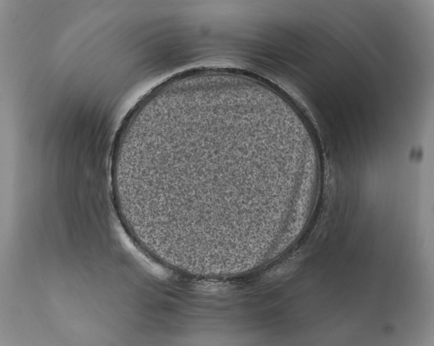 X0000110870935200907161435