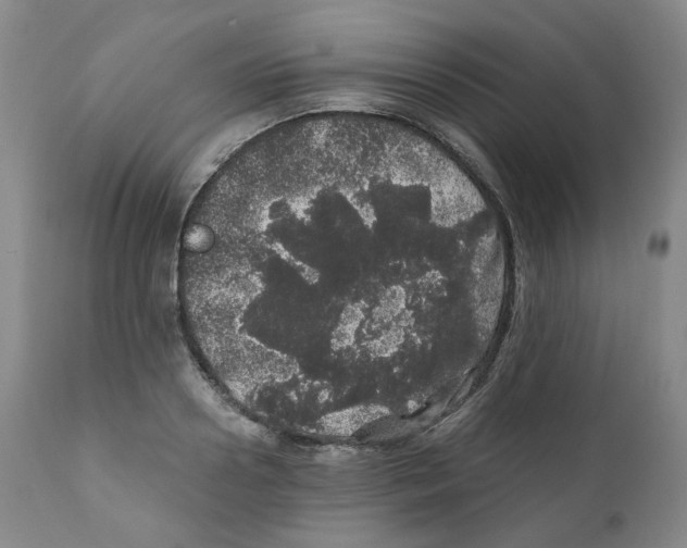 X0000110870938200907161435