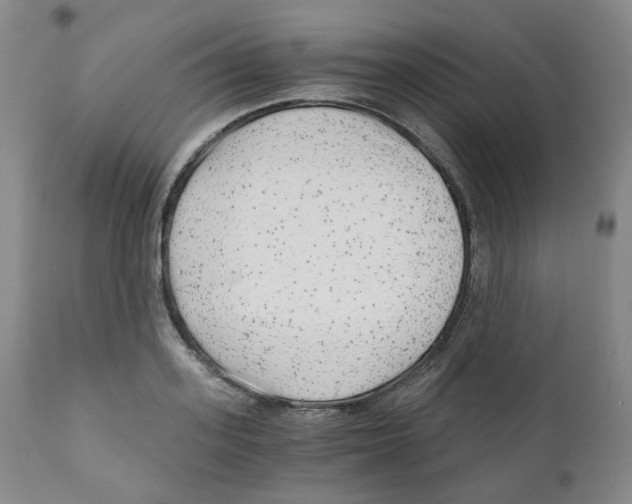 X0000110870939200907161435