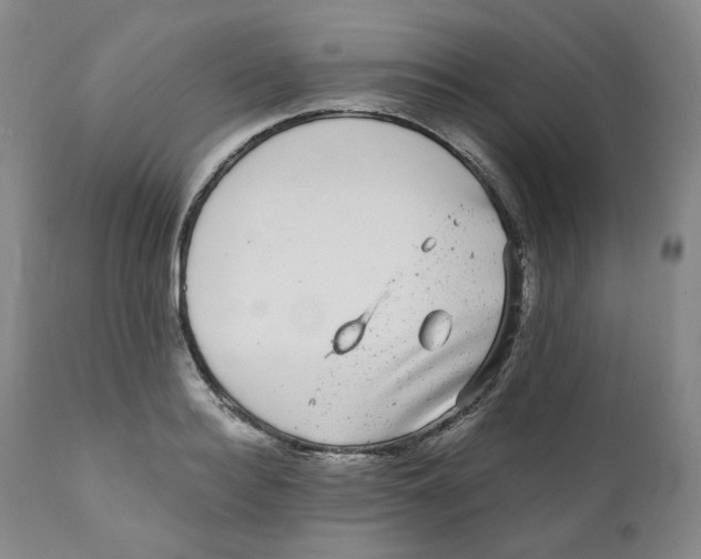 X0000110870940200907161435