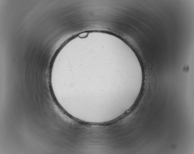 X0000110870942200907161435