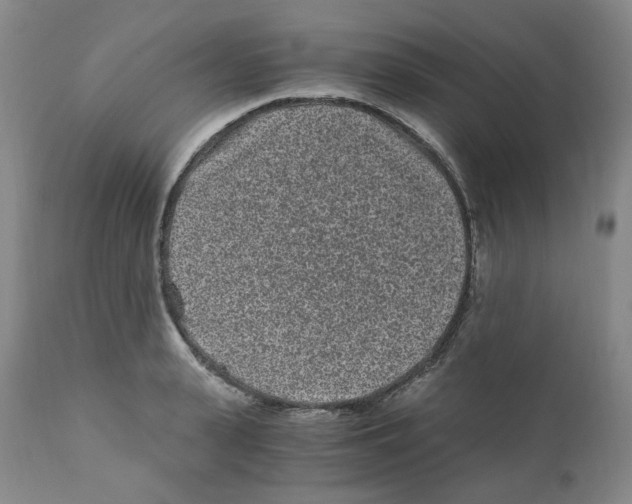 X0000110870943200907161435