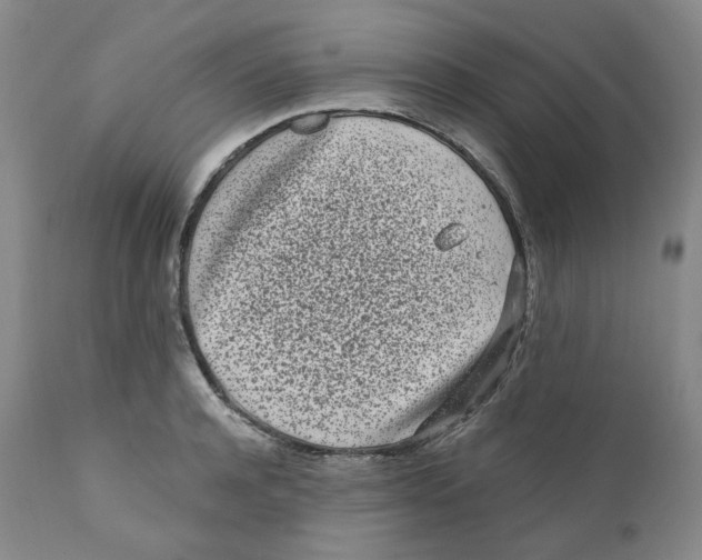 X0000110870944200907161435