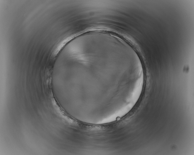 X0000110870945200907161435