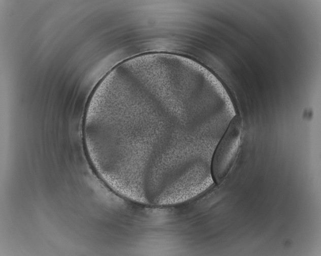 X0000110870946200907161435