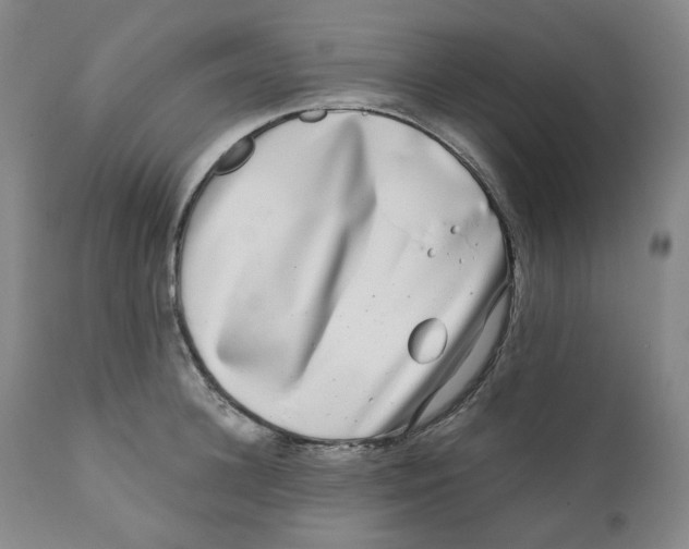 X0000110870948200907161435