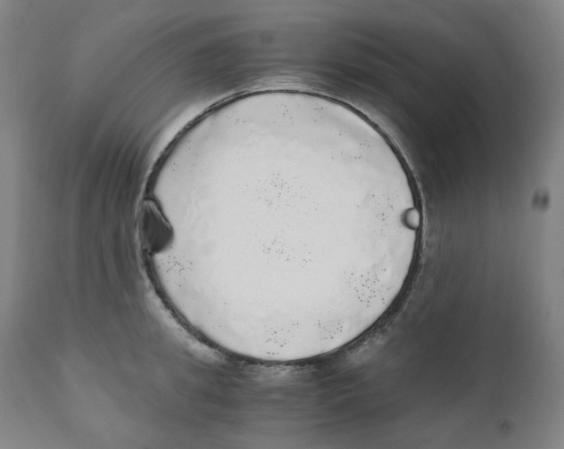 X0000110870949200907161435