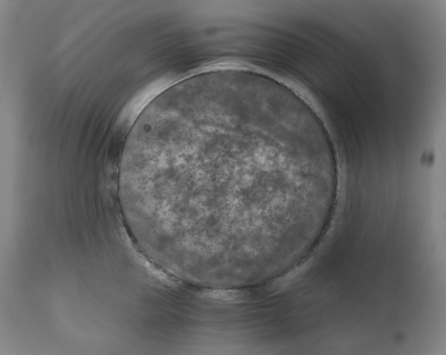 X0000110870953200907161435