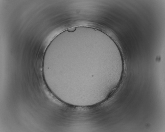 X0000110870954200907161435