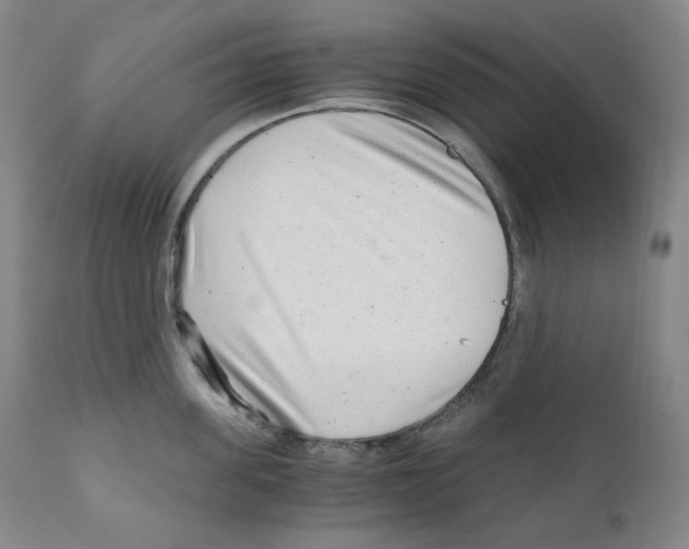 X0000110870955200907161435