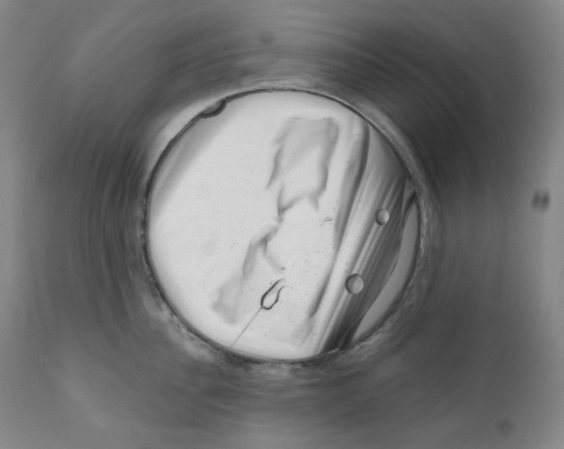 X0000110870956200907161435