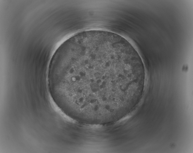 X0000110870957200907161435