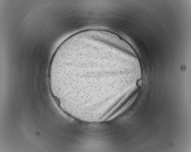 X0000110870959200907161435