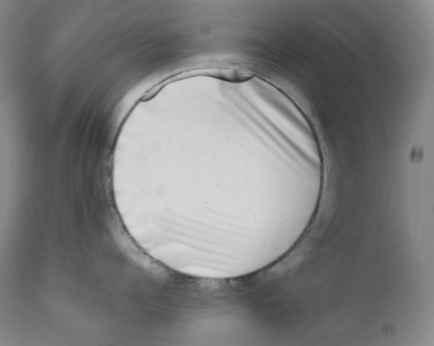 X0000110870960200907161435