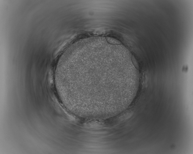 X0000110870962200907161434