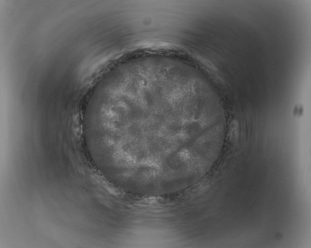 X0000110870966200907161434