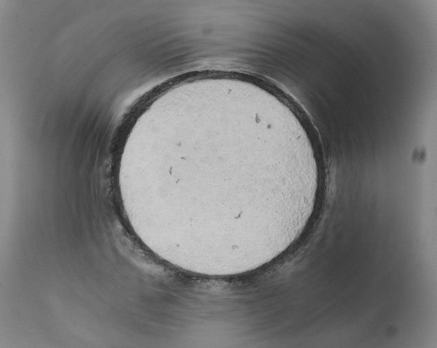 X0000110870971200907161434