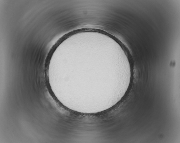 X0000110870972200907161434