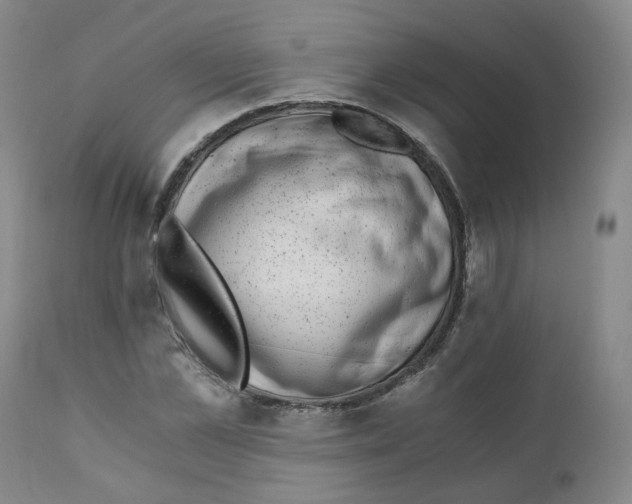 X0000110870973200907161434