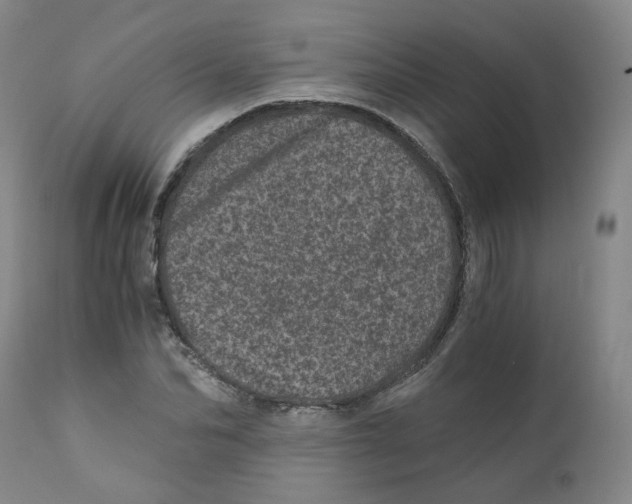 X0000110870974200907161434