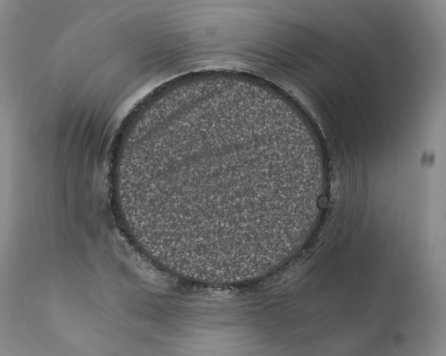 X0000110870975200907161434