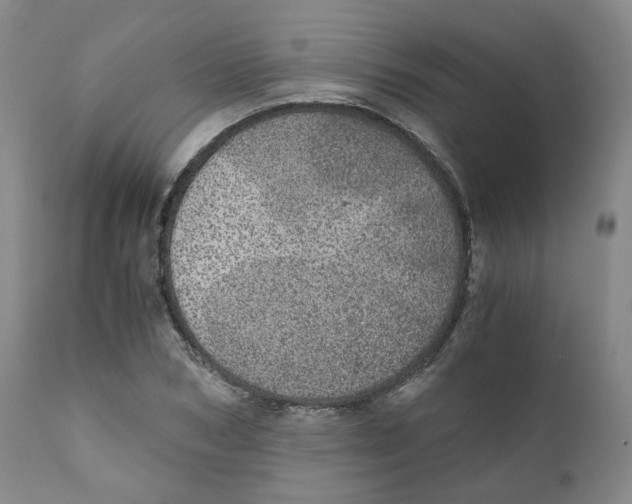 X0000110870978200907161434