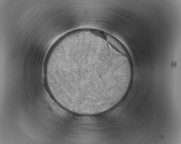 X0000110870980200907161434