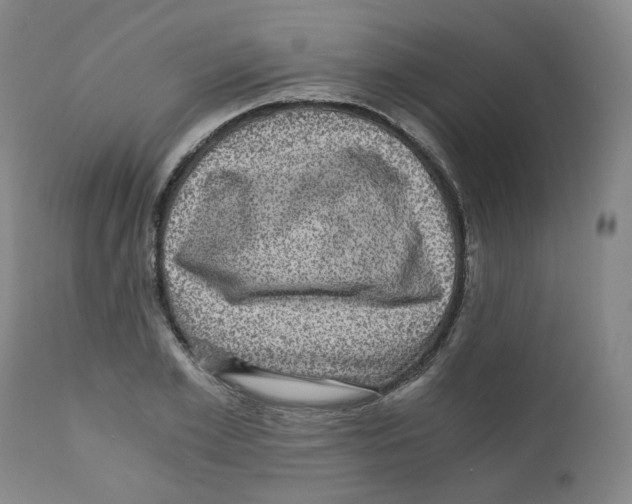 X0000110870981200907161434