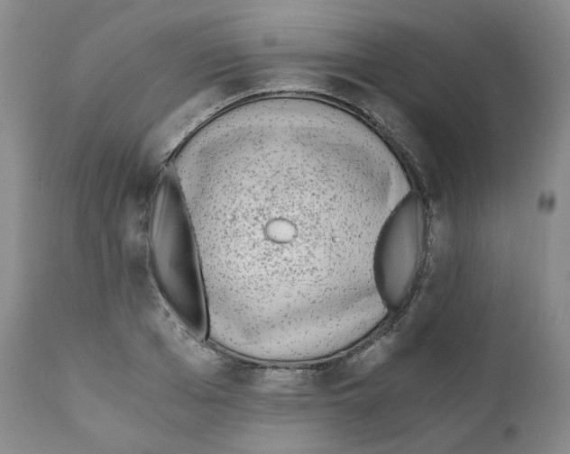 X0000110870985200907161434