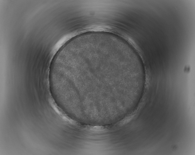 X0000110870986200907161434