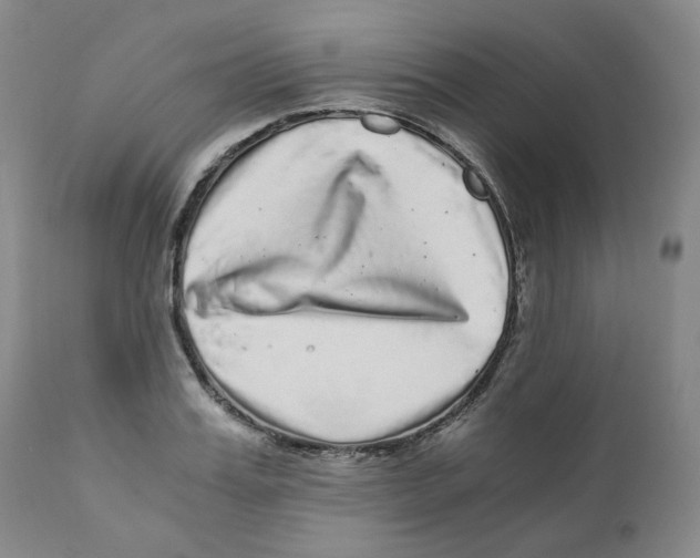 X0000110870987200907161434