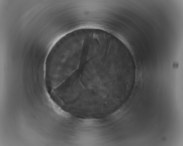 X0000110870988200907161434