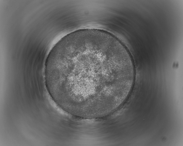 X0000110870990200907161434