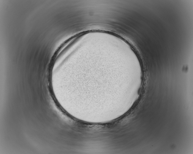 X0000110870991200907161434