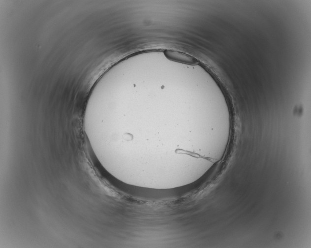 X0000110870993200907161434