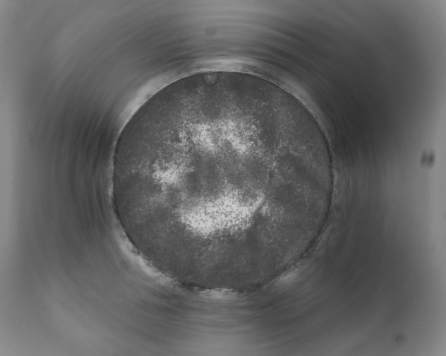 X0000110870994200907161434