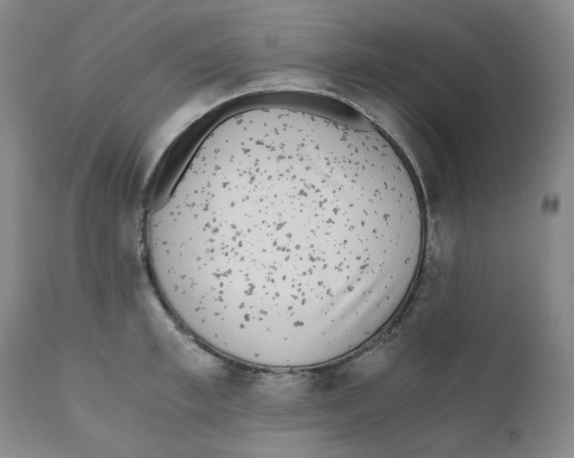 X0000110870997200907161434