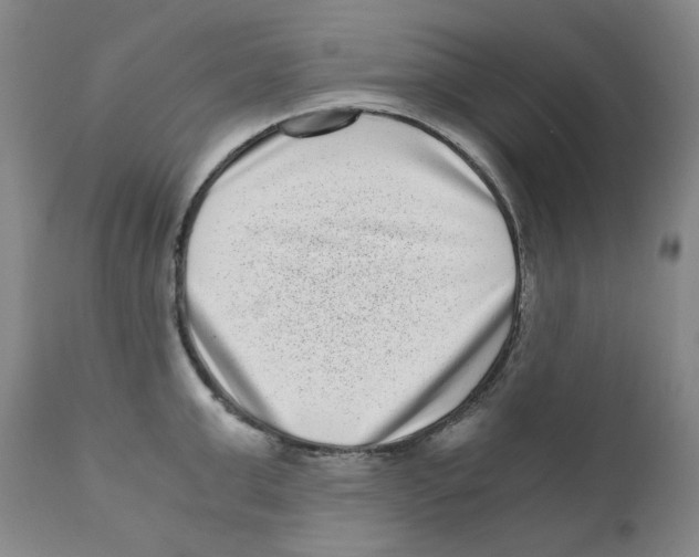 X0000110870999200907161434