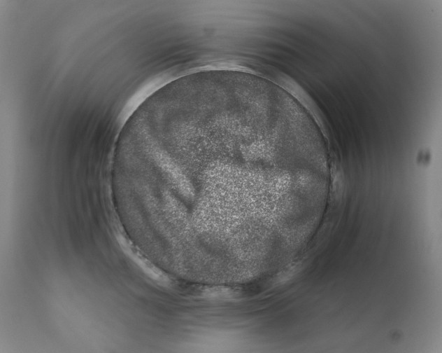 X0000110871002200907161434