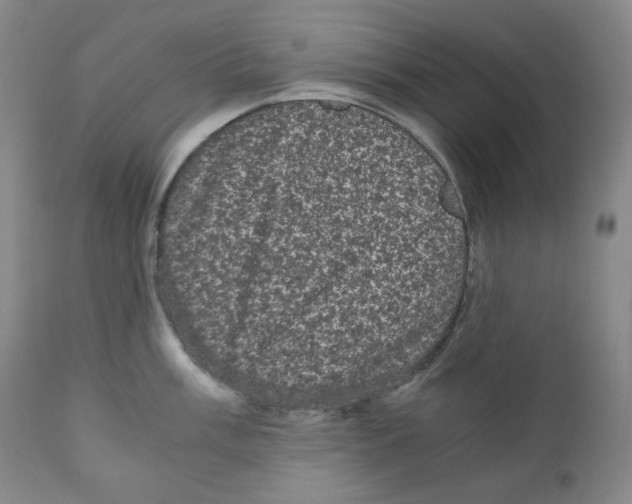 X0000110871003200907161434