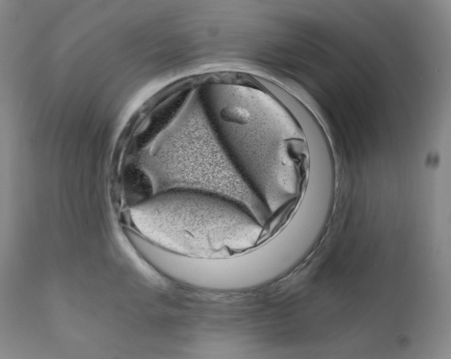 X0000110871005200907161434