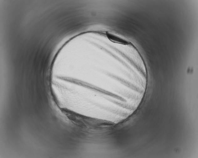 X0000110871008200907161433