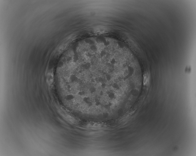 X0000110871011200907161433