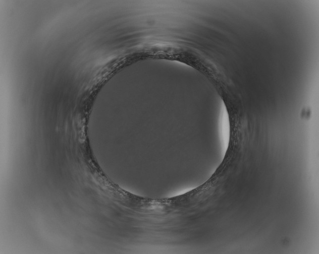 X0000110871013200907161433