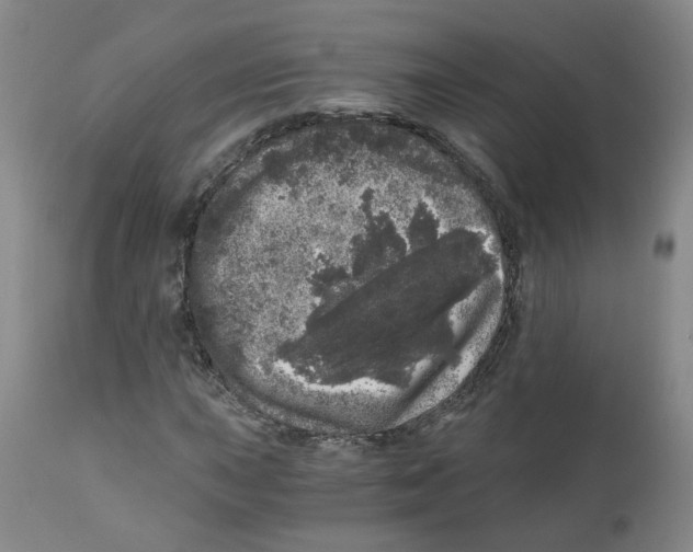 X0000110871015200907161433