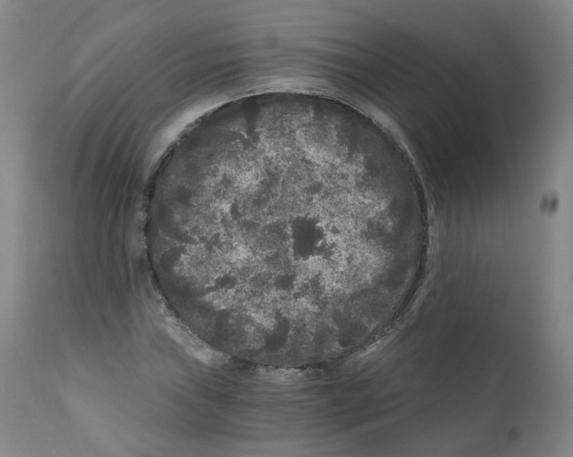 X0000110871019200907161433